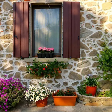 The Old Stone House *